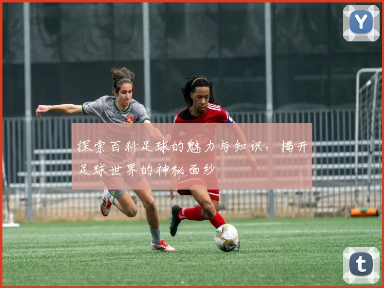 探索百科足球的魅力与知识，揭开足球世界的神秘面纱