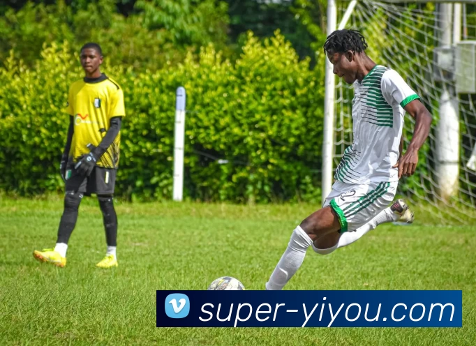 App Interface Preview